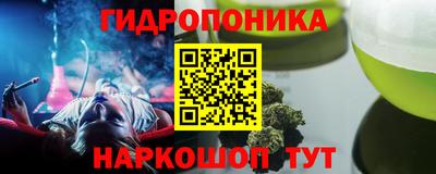 сатива Обь