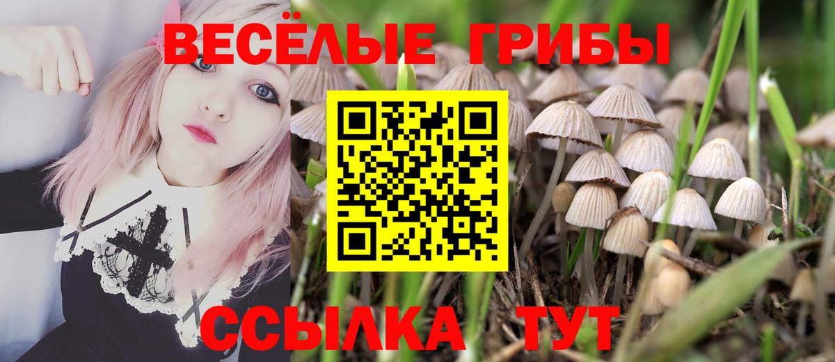 Псилоцибиновые грибы мицелий Дальнереченск